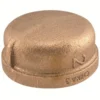 Sioux Chief 1-in Brass Cap