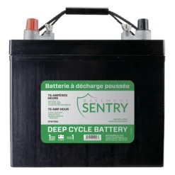 Basement Sentry 1-Pack 75-Amp Thermoplastic Battery -IPEX Electric Shop 83645011 L