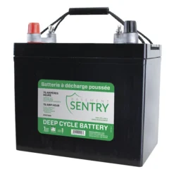 Basement Sentry 1-Pack 75-Amp Thermoplastic Battery
